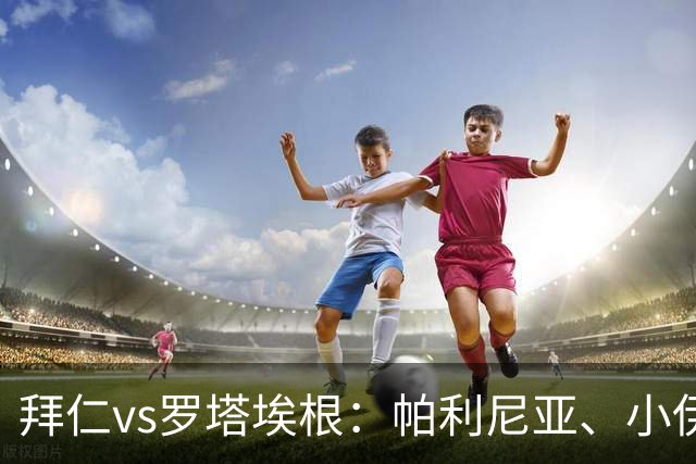 拜仁vs罗塔埃根：帕利尼亚、小伊布出战，比朔夫、帕维奇首发